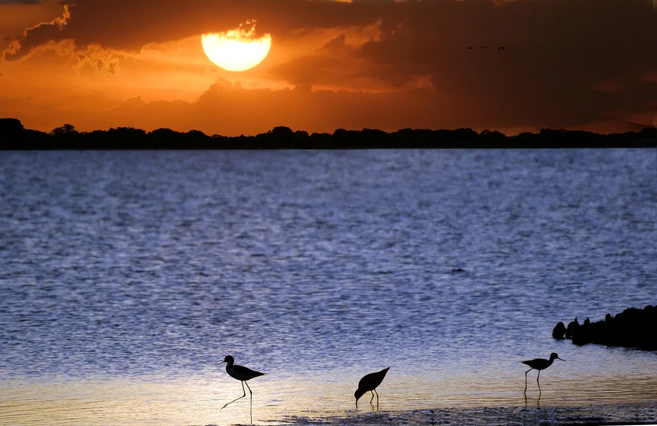Gdzie zjeść najlepszego łososia w Norwegii?