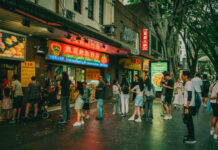 Atrakcje turystyczne w Sydney - sprawdź co odwiedzić będąc w tym miejscu!