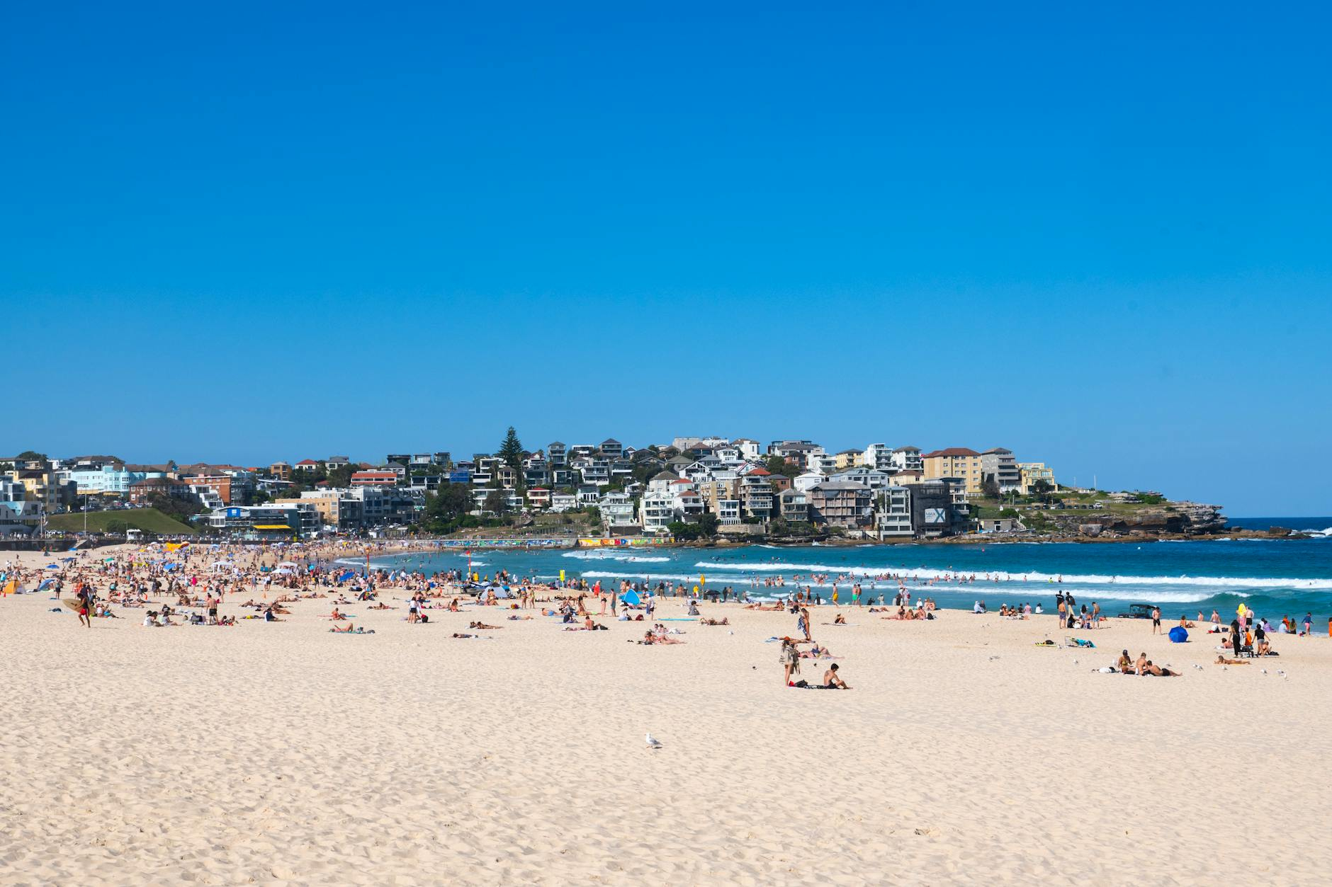 Atrakcje turystyczne w Sydney - sprawdź co odwiedzić będąc w tym miejscu!