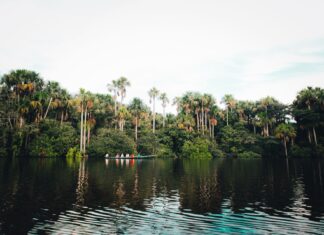 Amazonia w Kolumbii: jak zorganizować etyczną wyprawę do dżungli z Leticii i czego się spodziewać Łódź płynąca po rzece w kolumbijskiej dżungli Amazonii