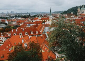 Weekend w Pradze na własną rękę: najciekawsze atrakcje, trasy spacerowe i praktyczne porady Panorama czerwonych dachów i zabytkowych kamienic w centrum Pragi